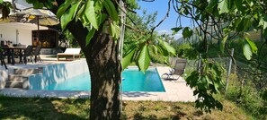A swimming pool with a tree in the foreground, surrounded by a fence and outdoor furniture.