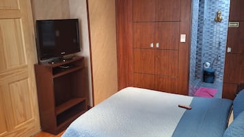 Un dormitorio con cama, televisión, armario de madera y zona de ducha.