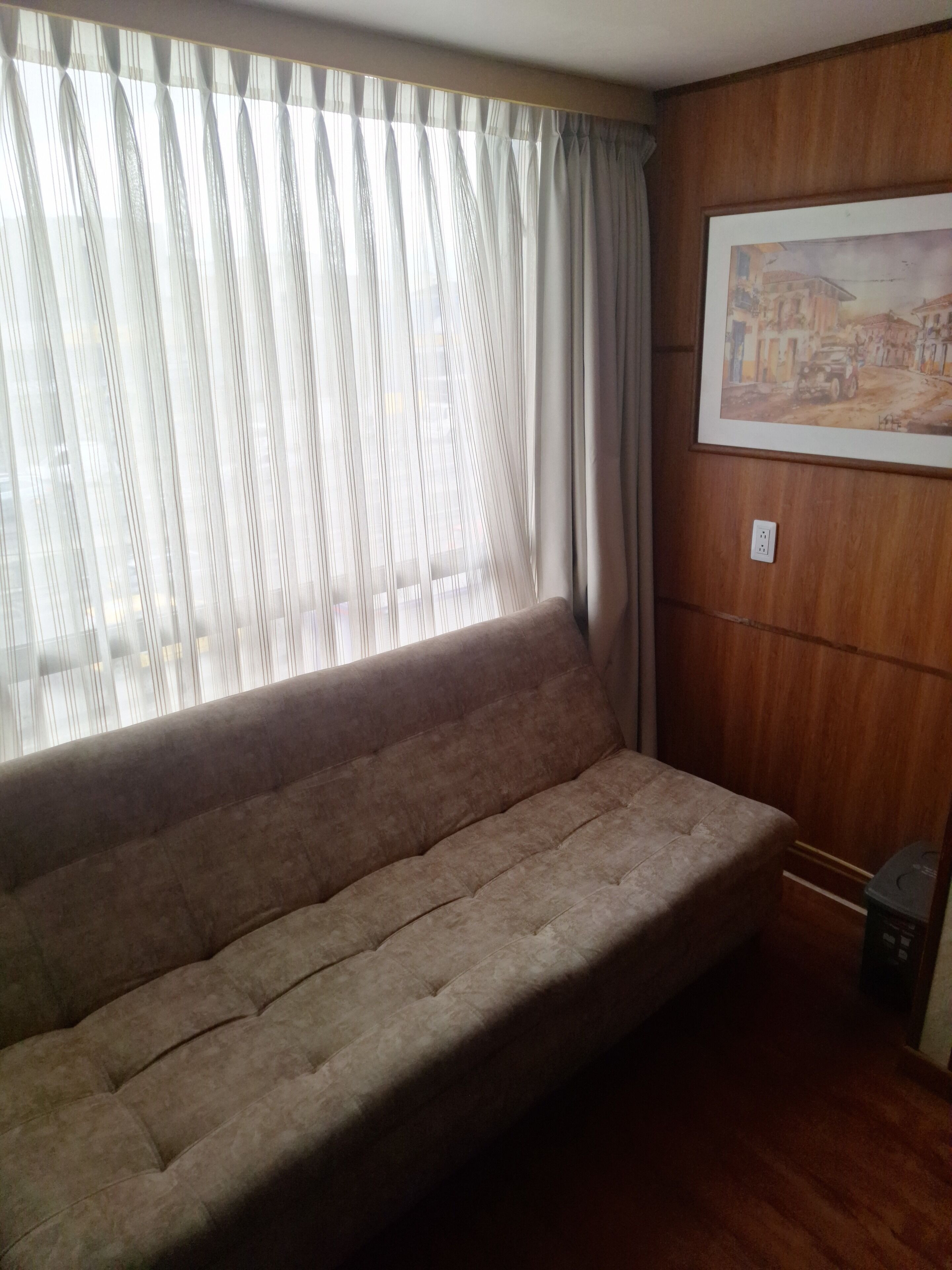 Una habitación con sofá, ventana con cortinas traslúcidas, un cuadro en la pared y un cubo de basura.