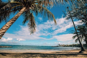 Ein Strand mit Palmen und blauem Himmel.
