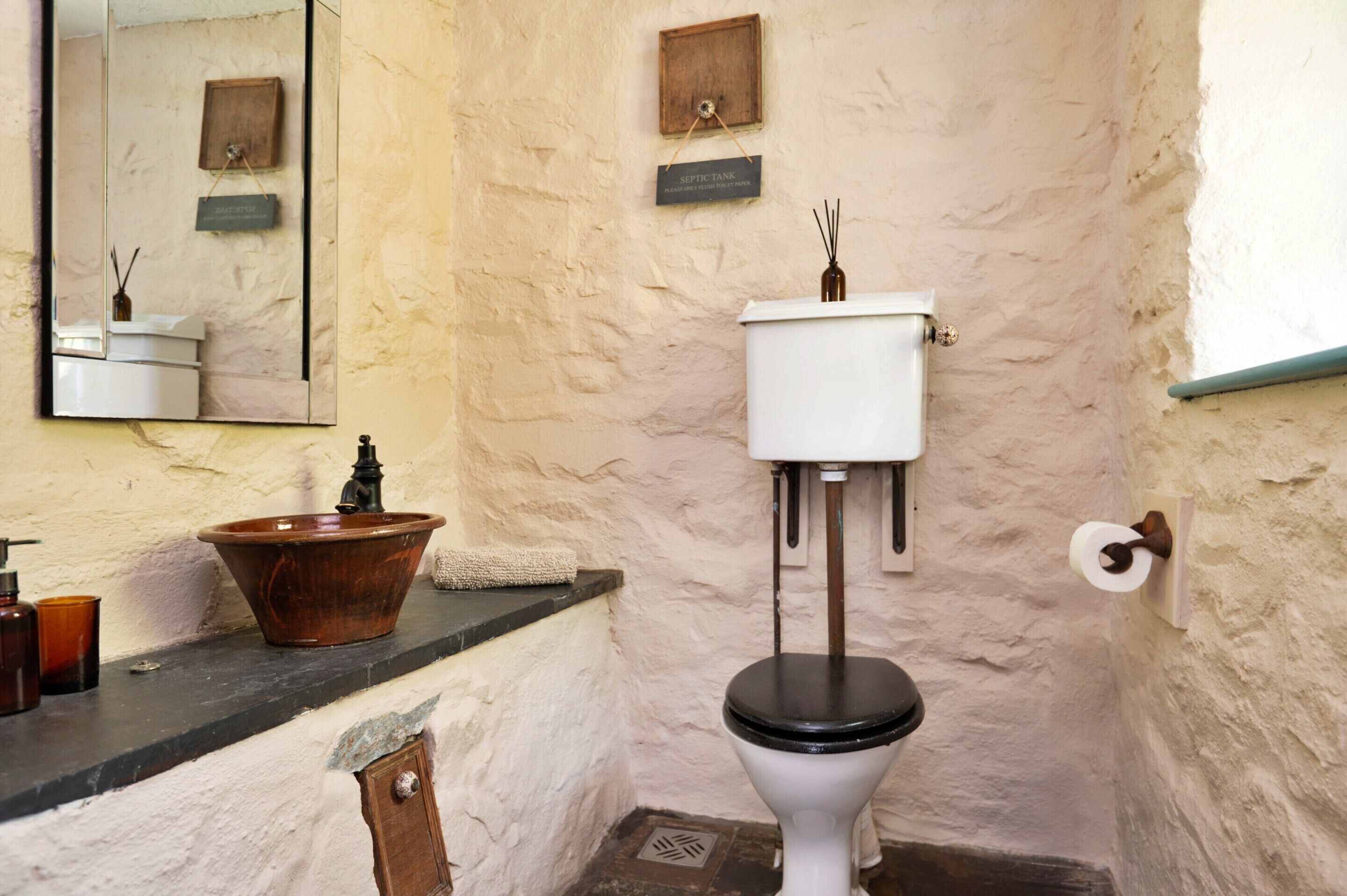A bathroom with a white toilet, a brown ceramic sink, a mirror, and a wooden sign on the wall.