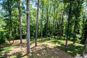 A forested area with tall trees and a dirt path. - Modern Upper Retreat II | 2 Suites + Free Tix (Hendersonville)