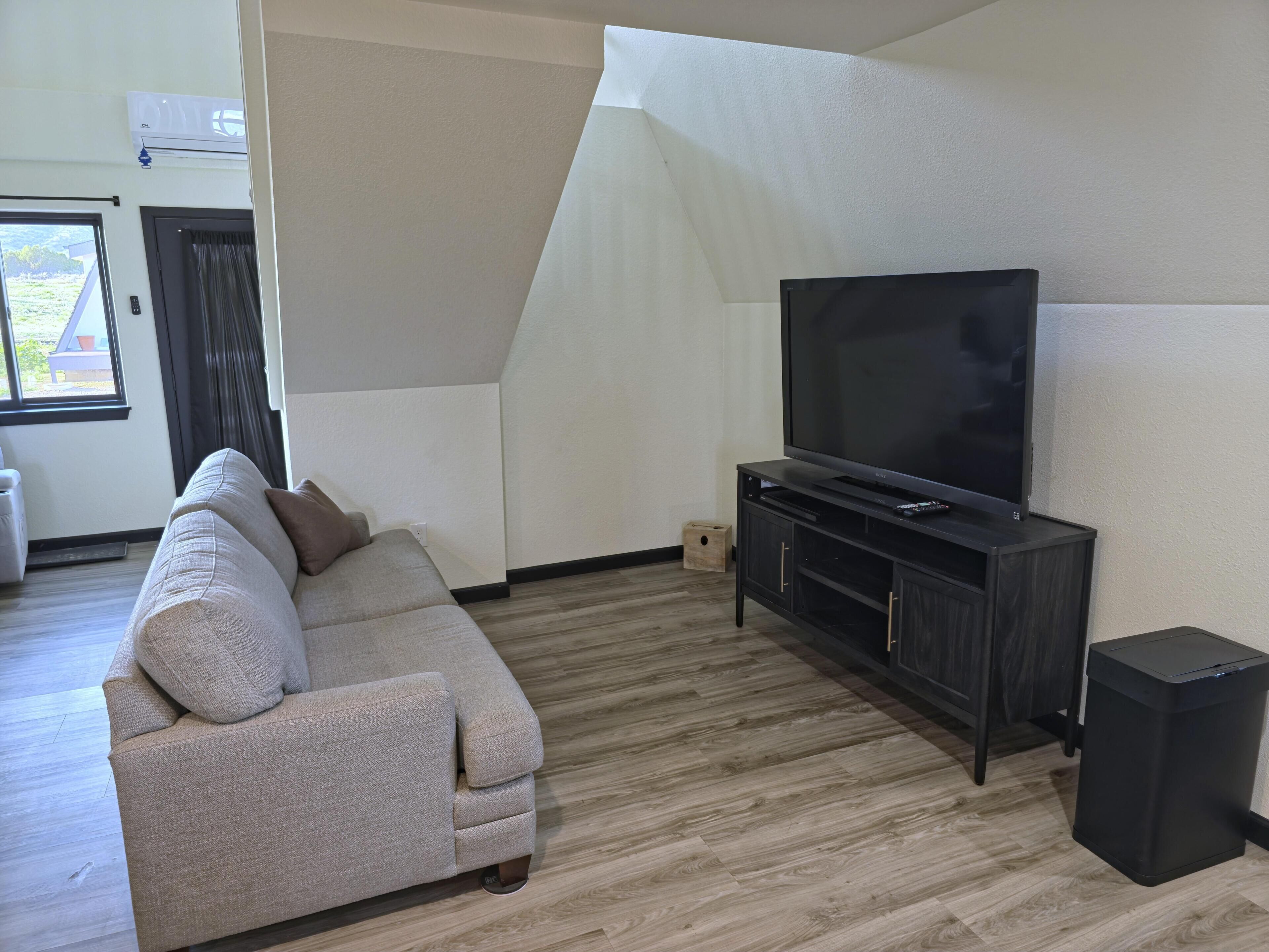 Smart TV, DVD player