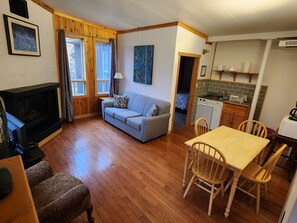 TV, fireplace, DVD player, books