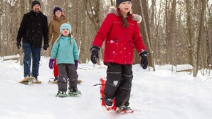Una famiglia di quattro persone che fa ciaspolate in una foresta innevata.