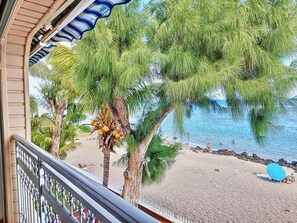 A balcony with a view of a beach and palm trees. - Le Mosala 5 - Climatisation - Vue mer (Saint-Leu)