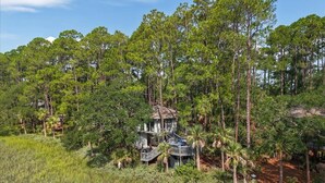 A secluded cabin surrounded by tall pine trees, with a small deck and a covered outdoor seating area.