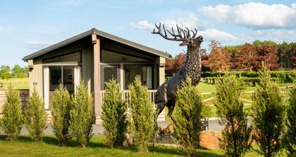 Picturesque Lakeside Cabin for 4