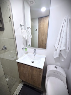 Secadora de cabello, toallas, papel de baño 