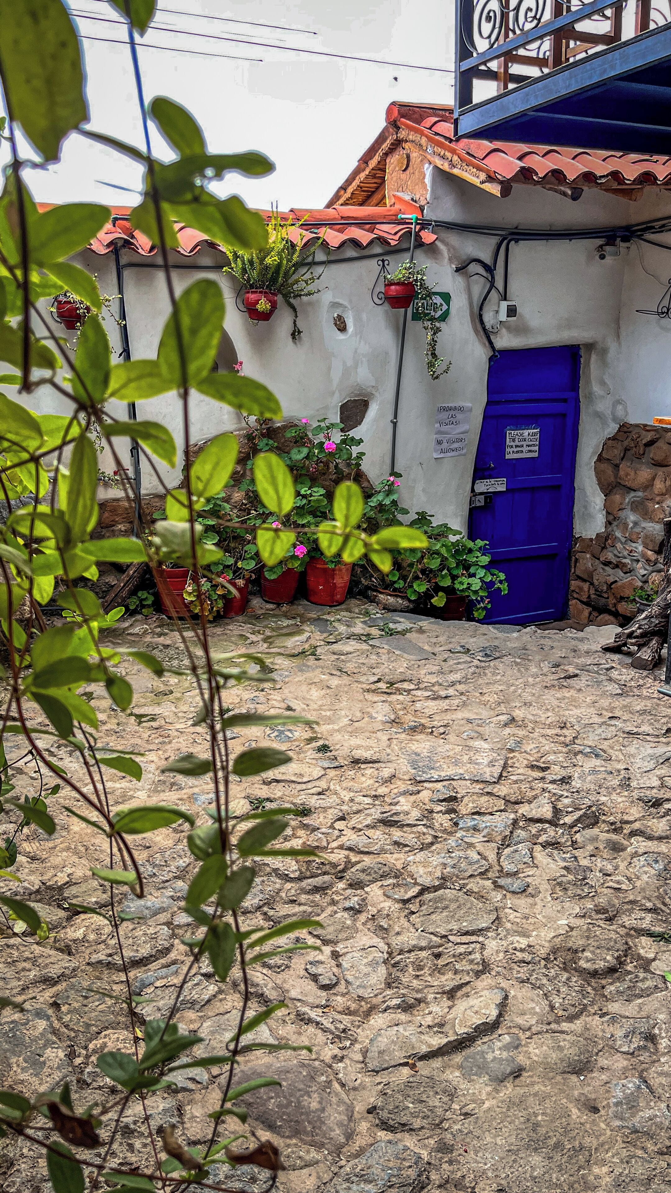 A courtyard with a blue door, potted plants, and a stone wall.