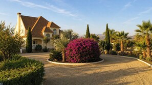 Uma casa com entrada por um caminho de pedras, cercada por plantas e árvores.