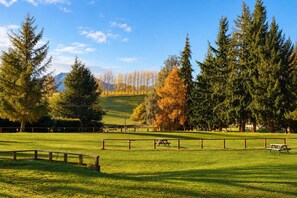 A grassy field with picnic tables and a wooden fence. - Sundale Mora Motels (Wānaka)
