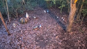 A forest clearing with a 'WELCOME' sign, surrounded by trees and covered with dry leaves. - Wooded 2 bedroom 2 bath Cabin retreat near Lake Somerville Texas (Somerville)