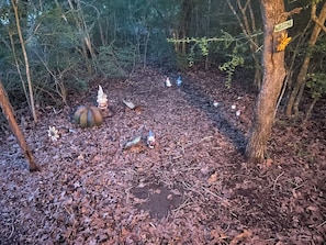 Eine Lichtung im Wald mit einem 'WELCOME'-Schild, umgeben von Bäumen und bedeckt mit trockenen Blättern.