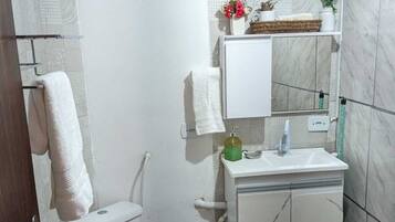 Ducha, secador de pelo, toallas y papel higiénico