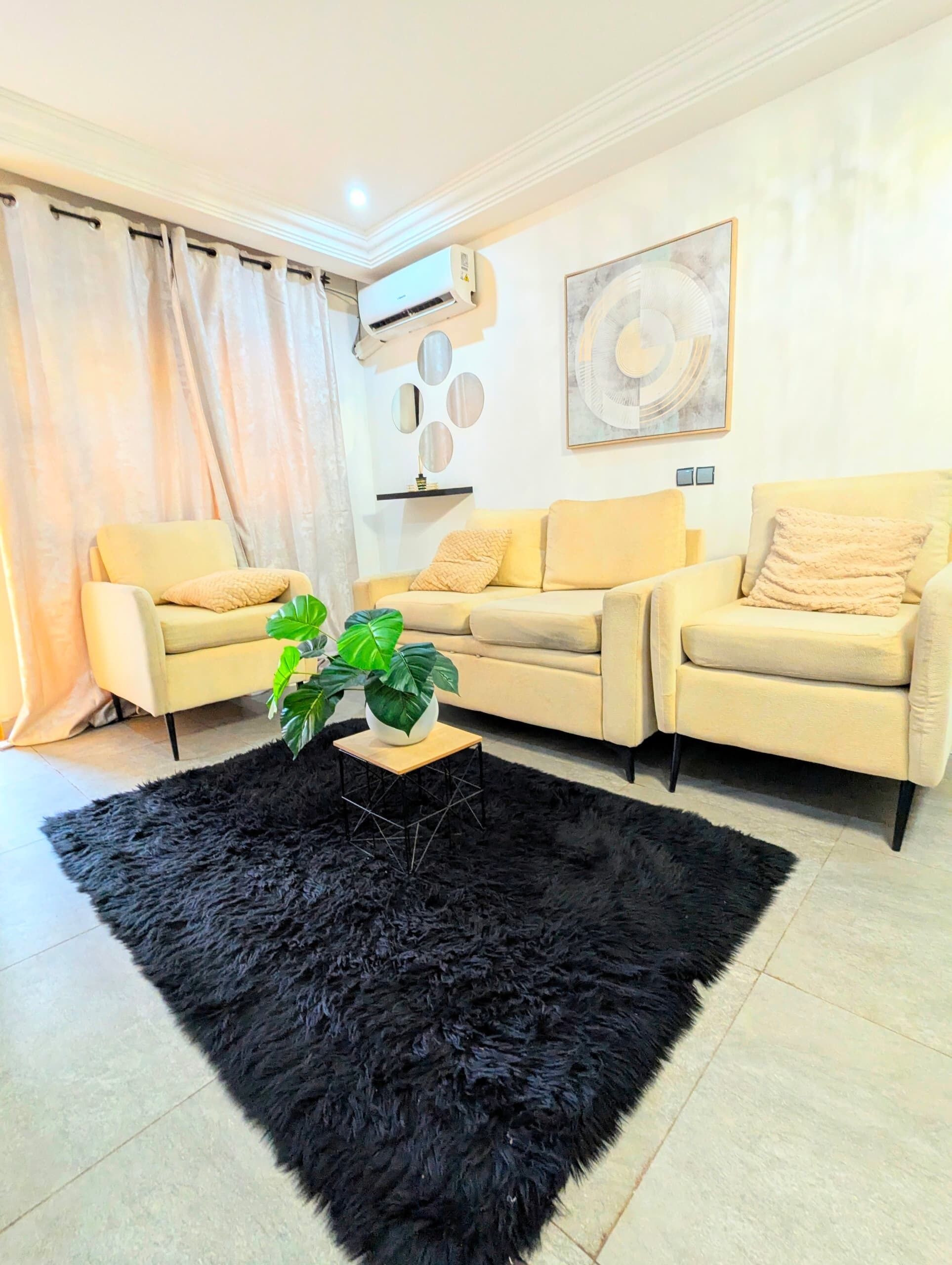 A living room with a sofa set, a black furry rug, a potted plant, and wall decor.