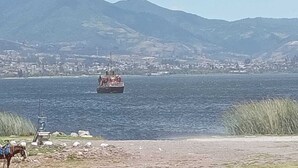 A body of water with a boat and a horse on the shore. - Brisas Del Lago San Pablo (Otavalo)