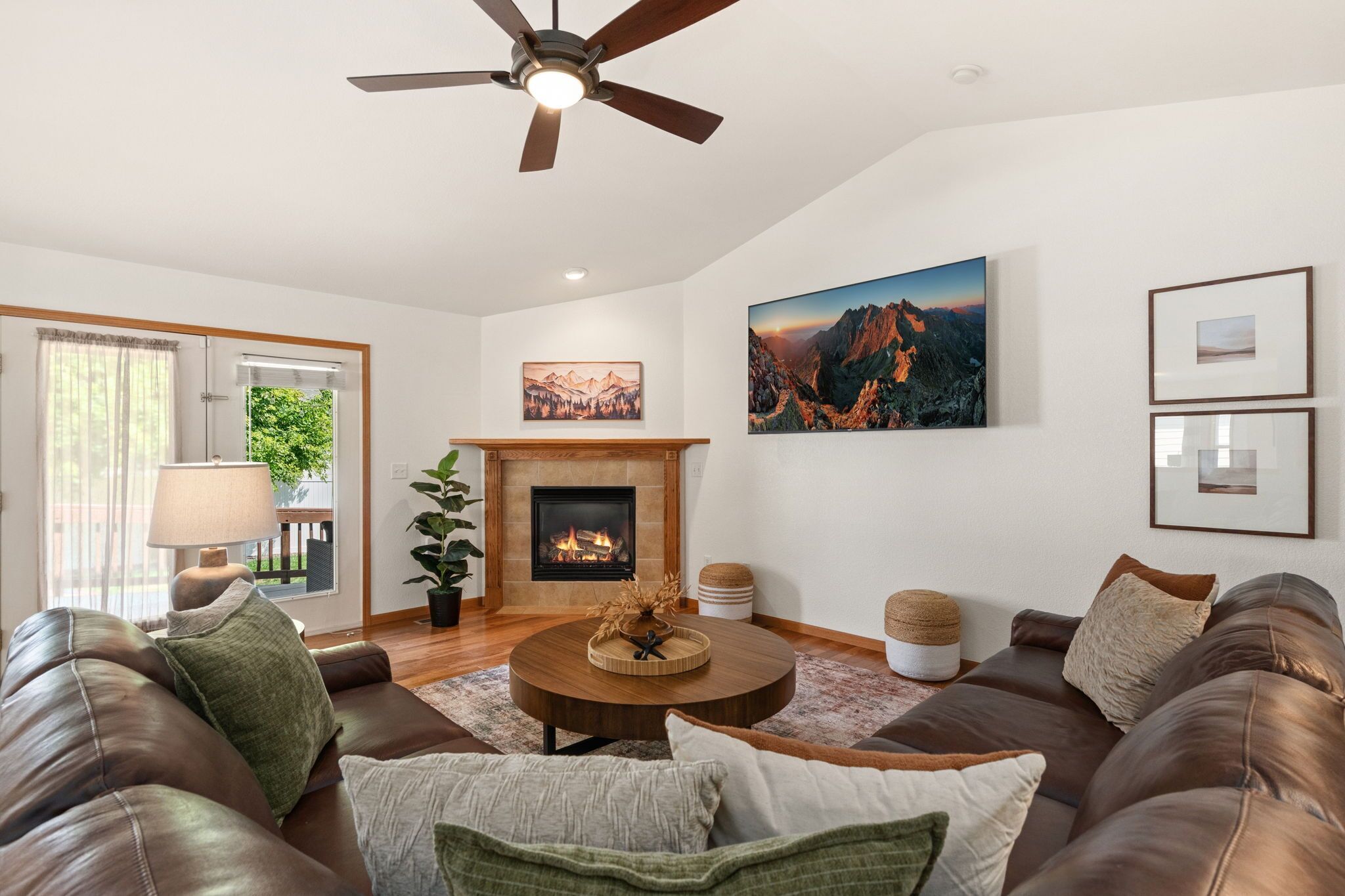 Smart TV, fireplace, books