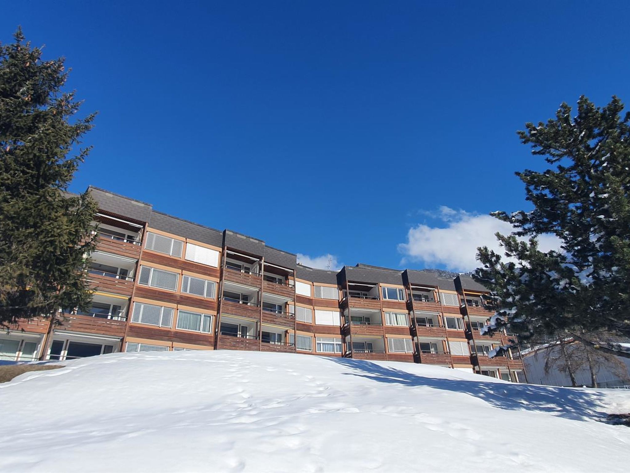 A multi-story building with a flat roof, surrounded by snow-covered ground and trees.