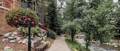 A pathway alongside a river with a bench and a hanging flower basket.