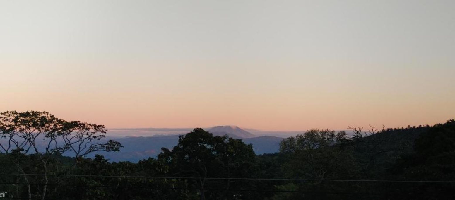 Eine Landschaft mit Bäumen und einem Berg in der Ferne.