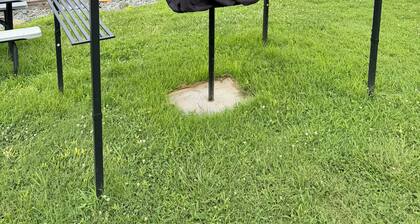 Lakeside Oasis Lake Norman Tiny Home
Pool, Kayaks & Pickleball