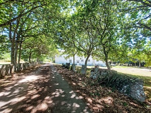 A paved pathway lined with trees and a white building in the background. - Pizarra by Interhome (Vilalba)