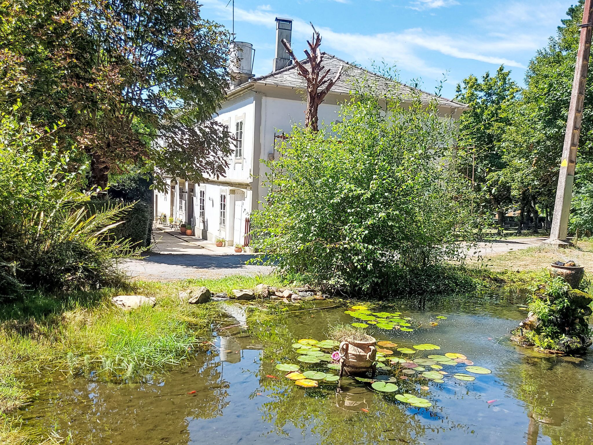 Une maison avec un bassin dans le jardin, entourée de verdure et sous un ciel dégagé.