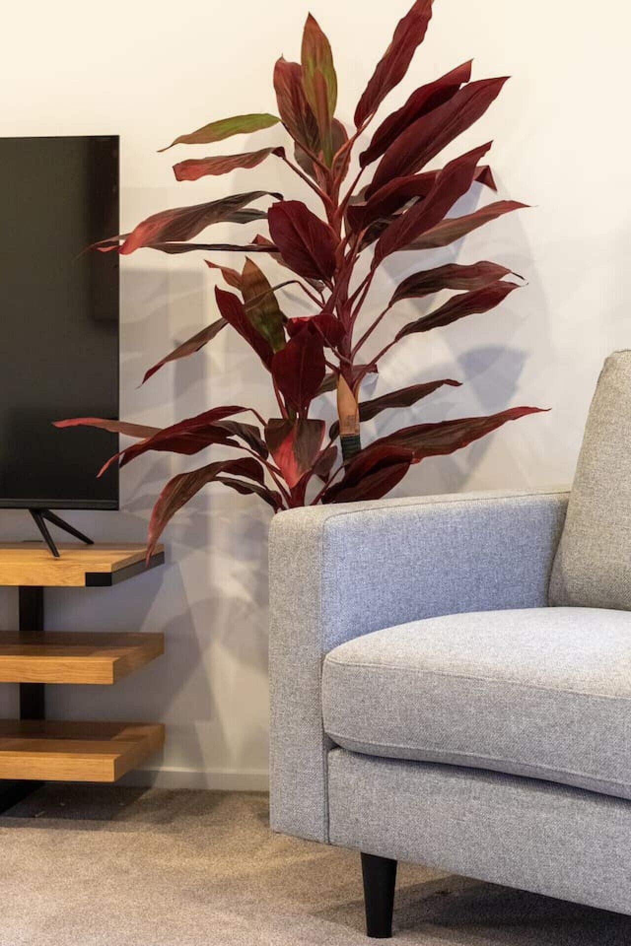 Brand New Townhouse Walk To Cbd | Parking + Ev - Lyttelton