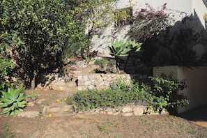 Ein Garten mit einer Steintreppe, die zu einem Gebäude führt, umgeben von verschiedenen Pflanzen und Bäumen.