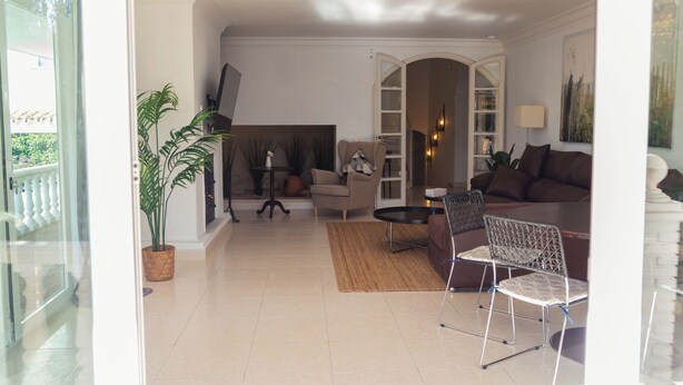 Uma sala de estar com sofá, poltrona, mesa de centro e um vaso de plantas.