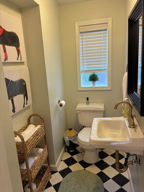 Hair dryer, towels, soap, toilet paper