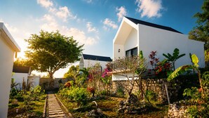 Een modern huis met een stenen muur, een pad en verschillende planten.