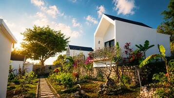 A modern house with a stone wall, a pathway, and various plants.