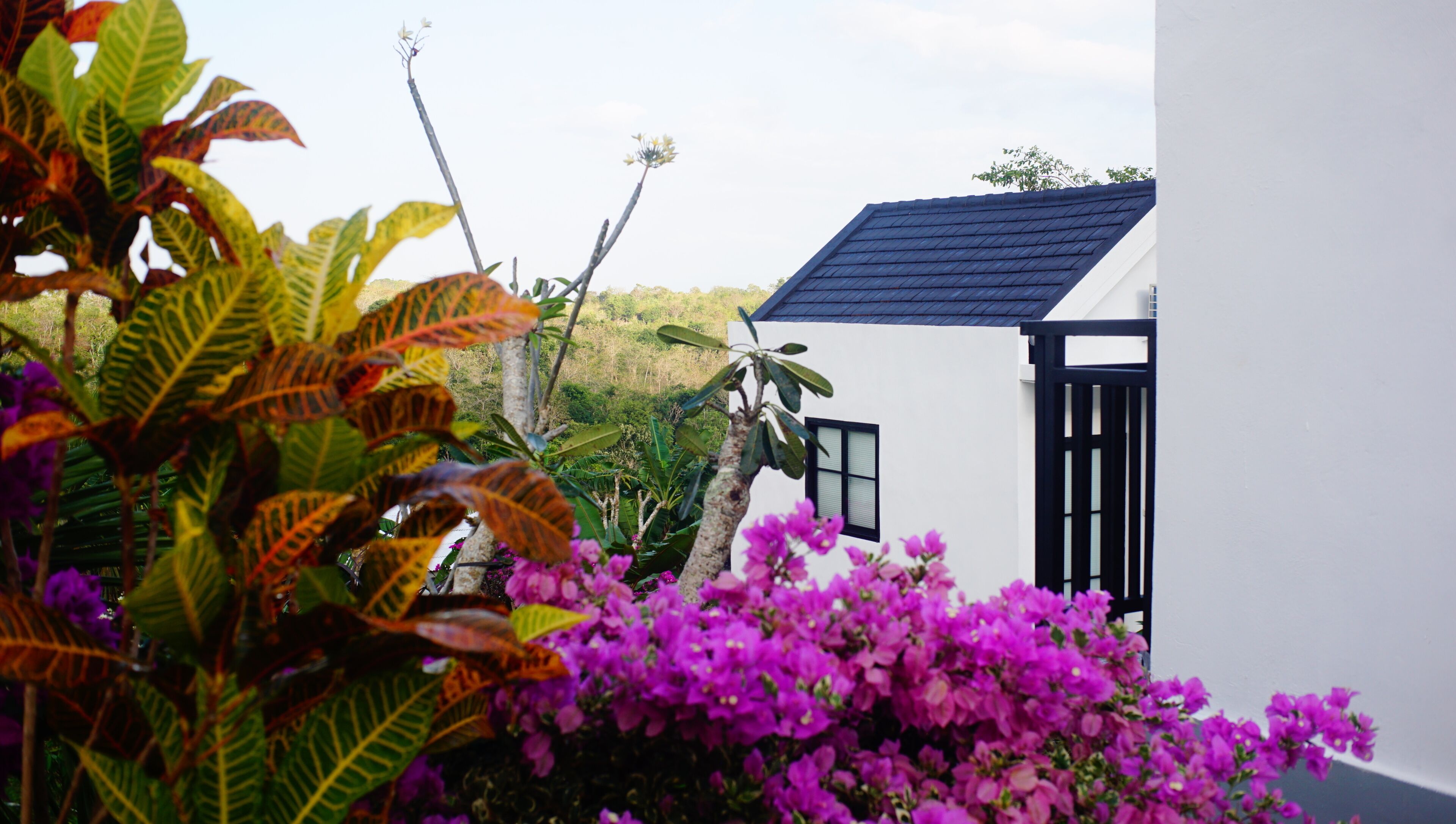 A white building with a dark roof, surrounded by lush greenery and purple flowers.
