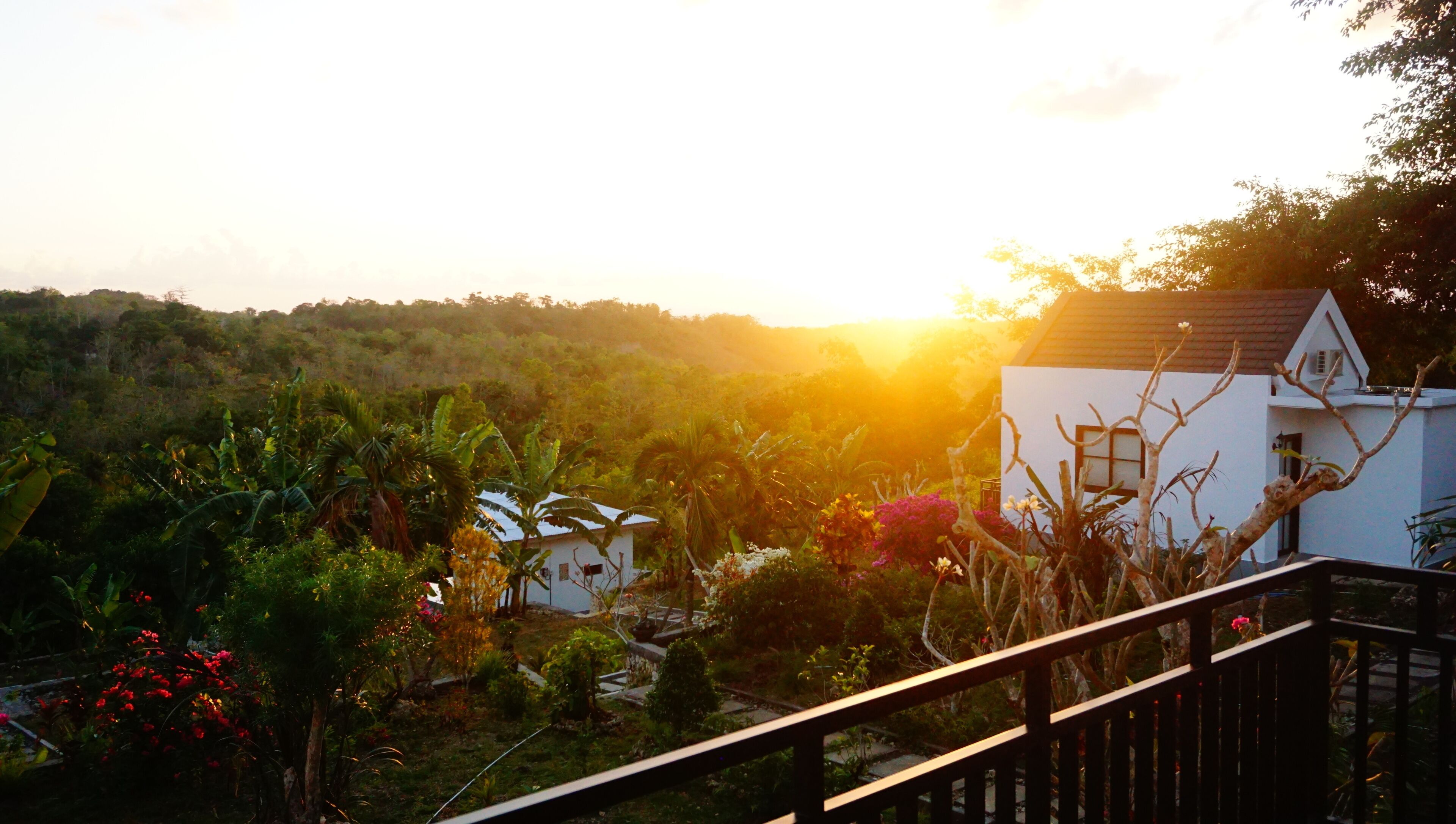 Uma área residencial com uma casa, vegetação exuberante e céu claro.