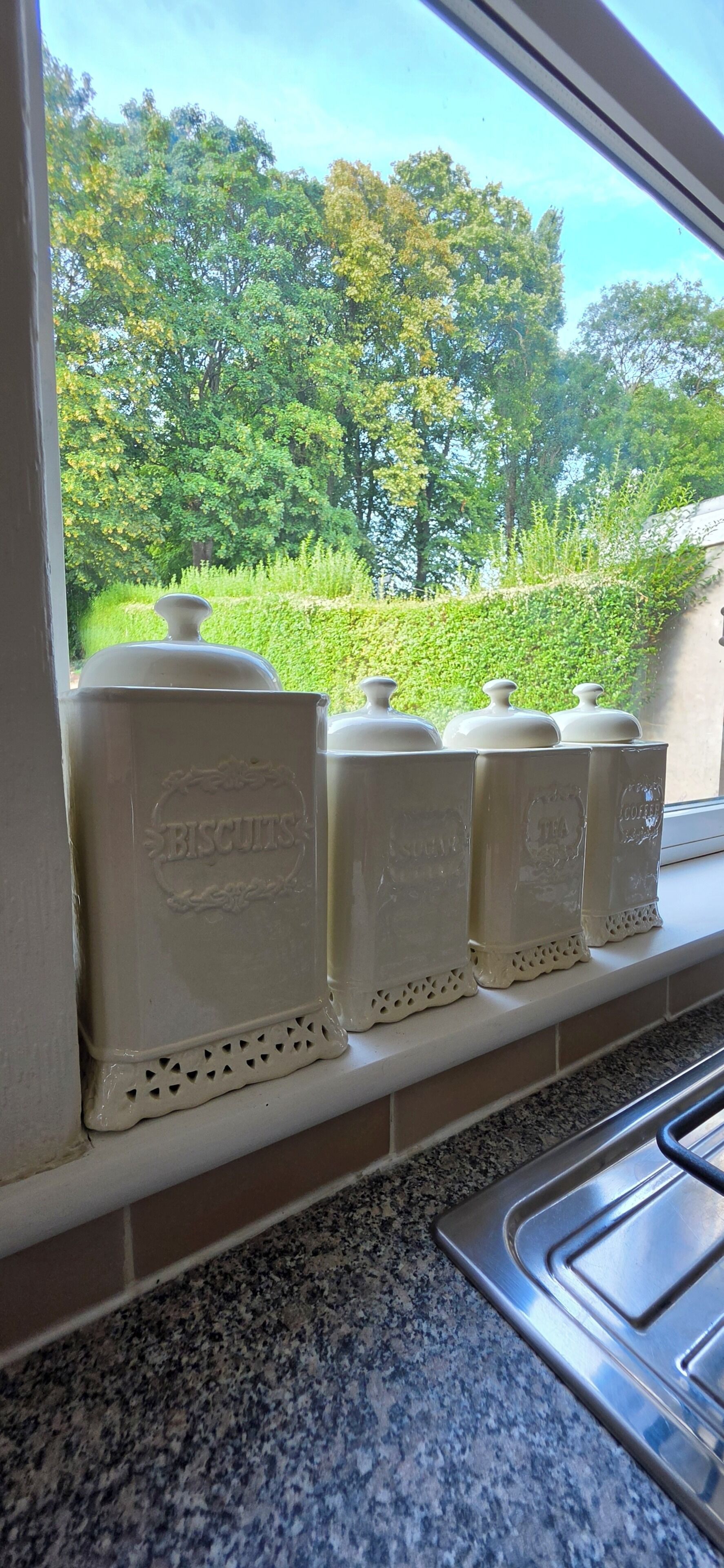A kitchen with a window view of a hedge and trees.