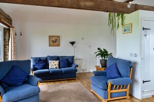 Una sala de estar con un sofá azul, una silla de madera, un radiador y una planta colgante.