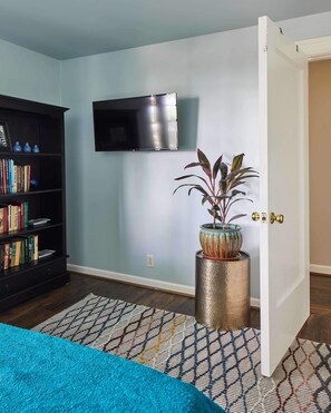 A room with a bookshelf, a flat-screen TV mounted on the wall, a potted plant, and a patterned rug.