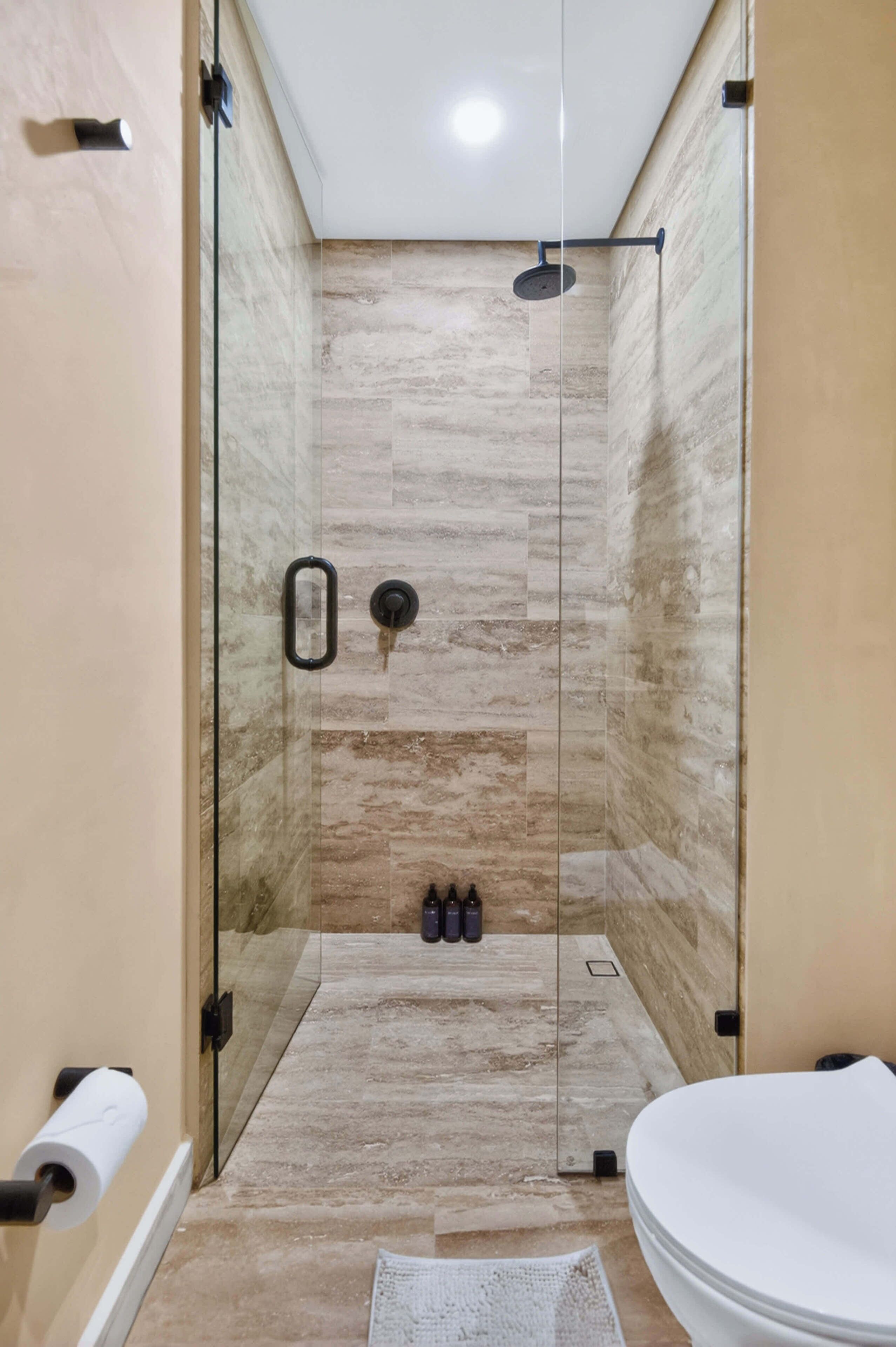 Eine Dusche mit Glastür, eine Toilette und ein Handtuchhalter.