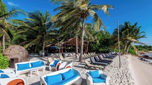 Eine Strandlounge mit weißen Liegestühlen und blauen Kissen, umgeben von Palmen und blauem Himmel.