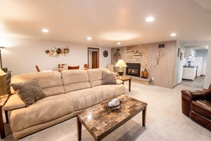 Fireplace, books, video library