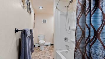 Hair dryer, towels, soap, toilet paper