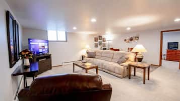 Fireplace, books, video library