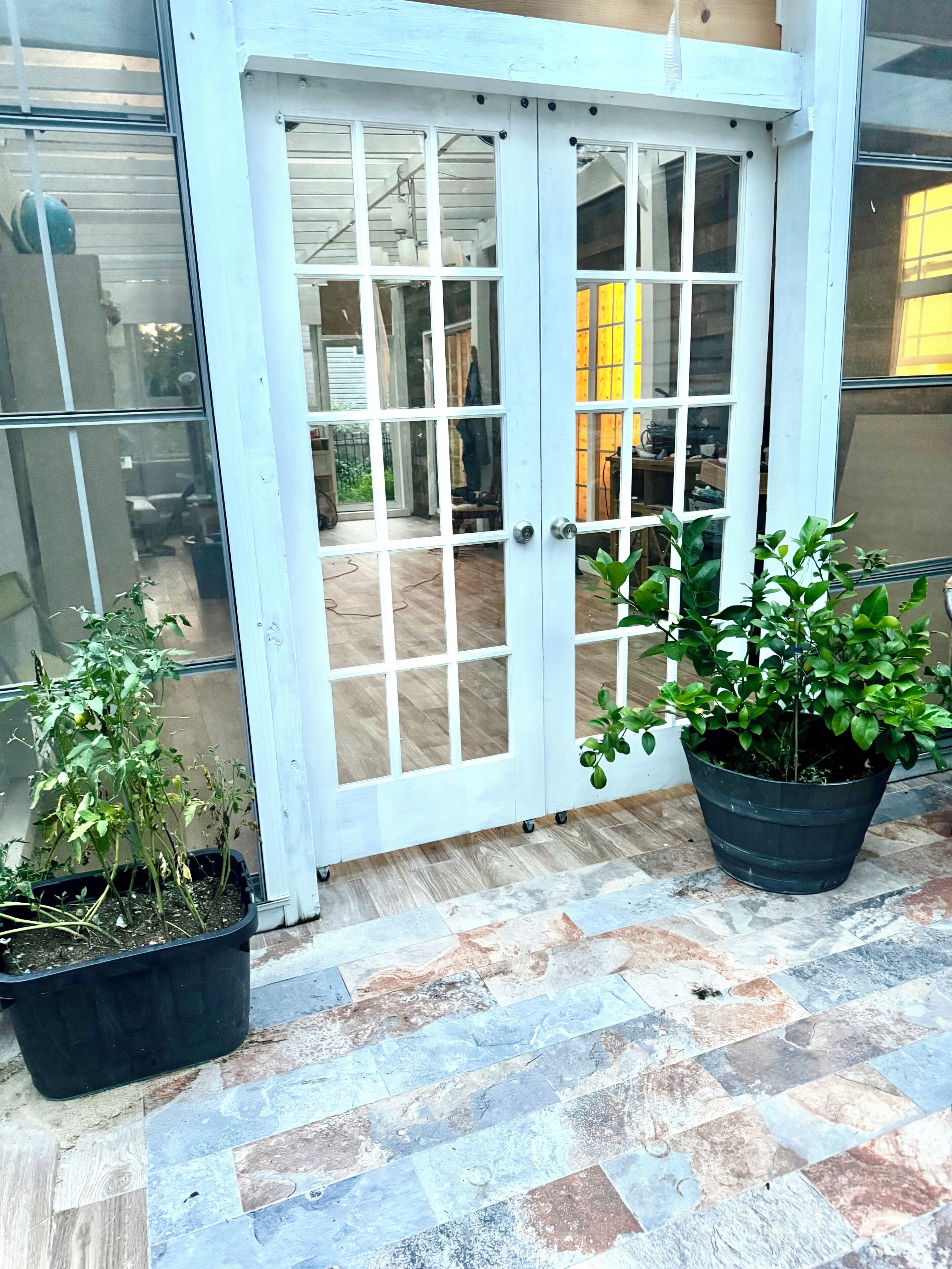Una puerta blanca con paneles de vidrio, una planta en maceta a la izquierda y otra a la derecha.