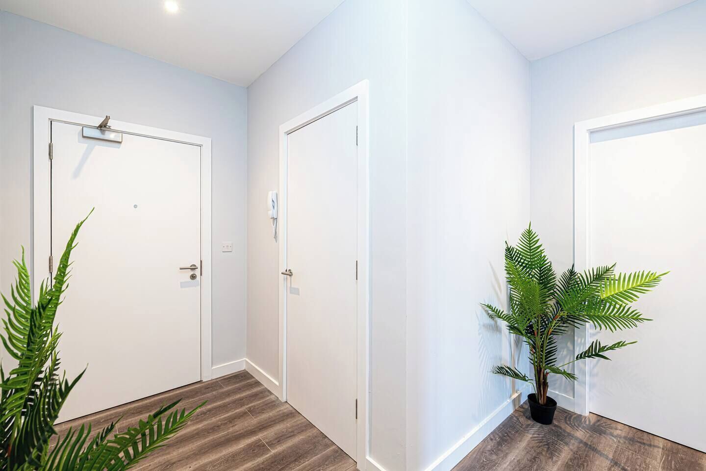 A hallway with white doors, wooden flooring, and potted plants.