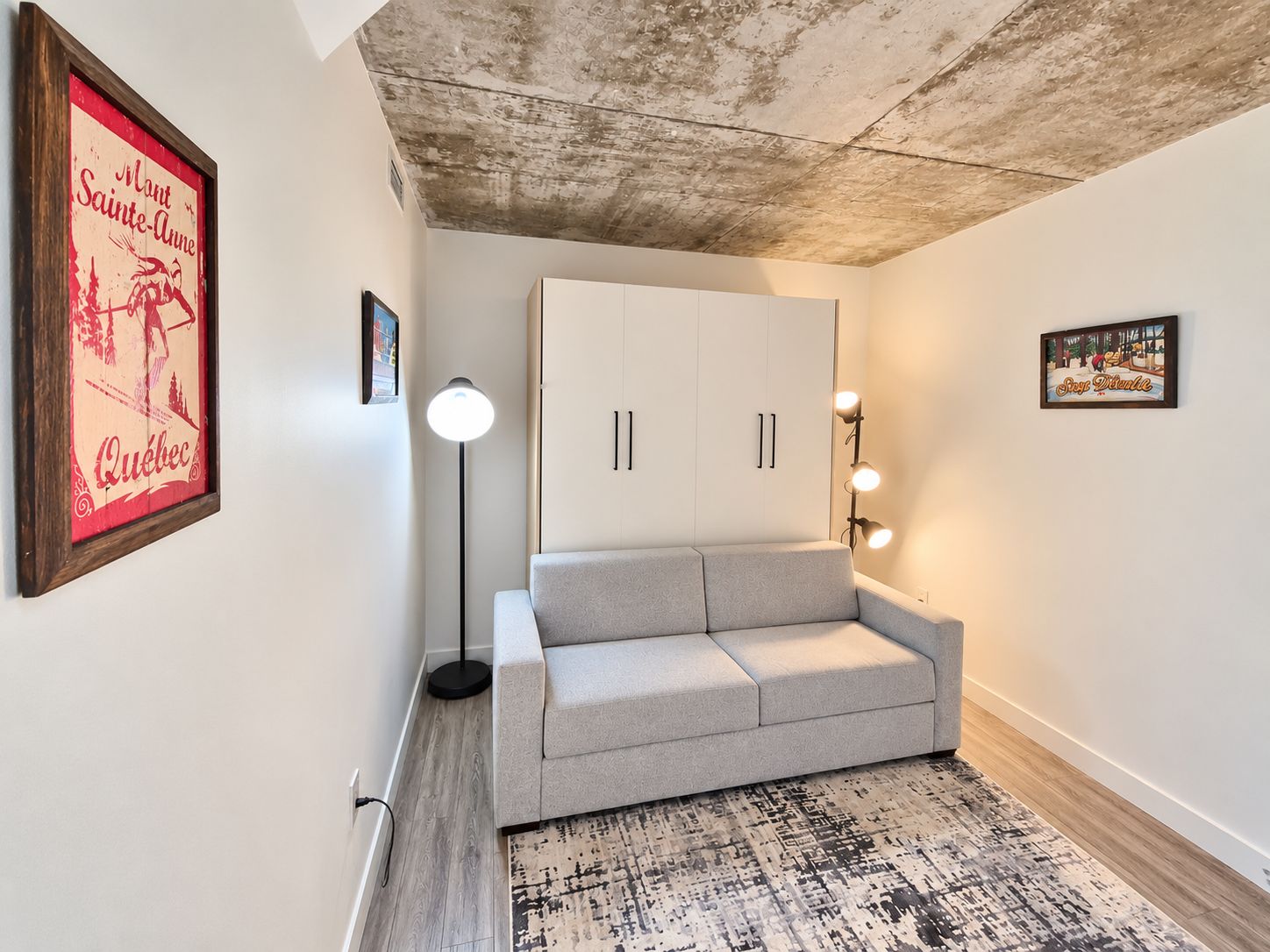 Una sala de estar moderna con un sofá gris, un tapete estampado, un cartel enmarcado, una lámpara de pie y un armario.