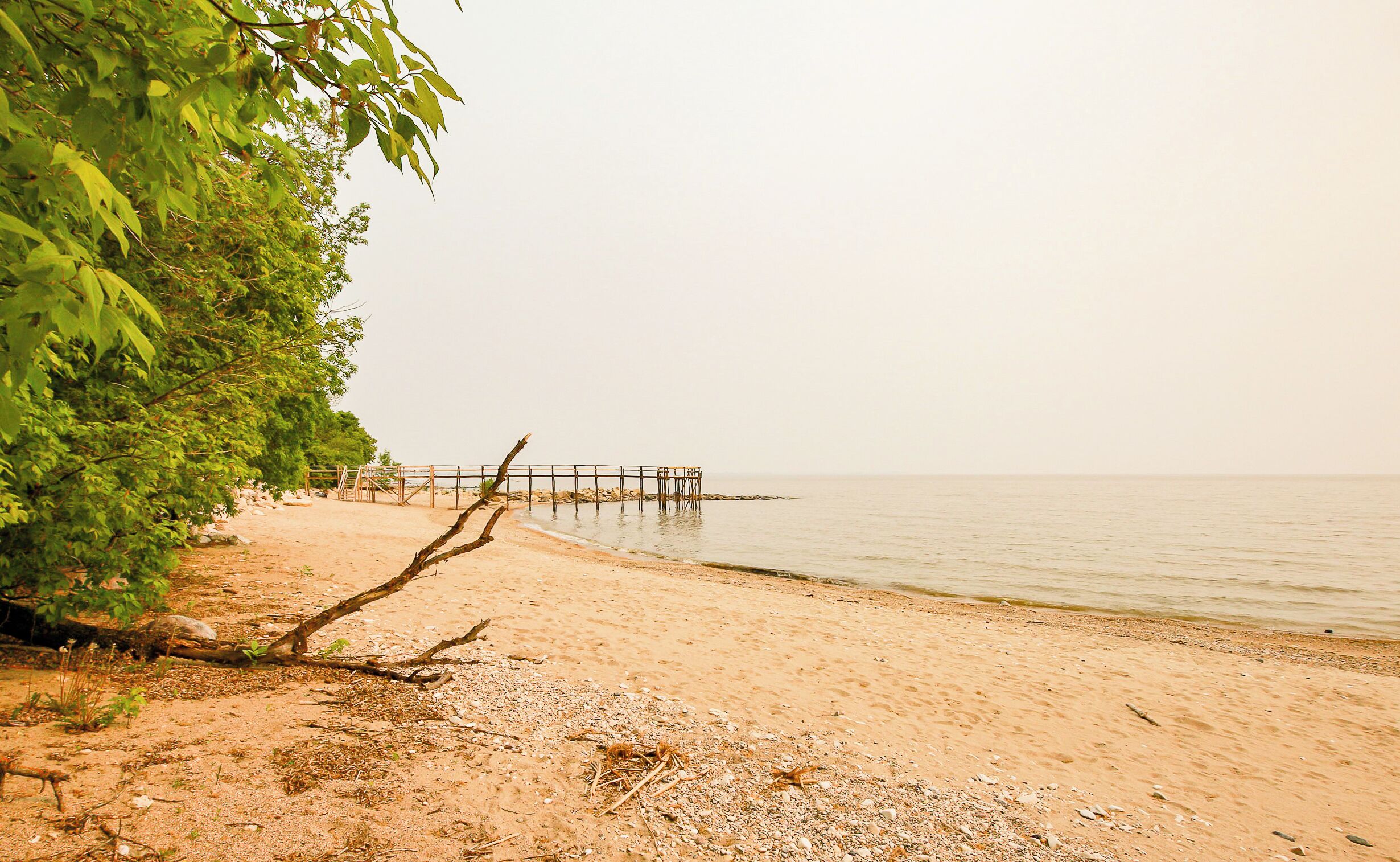 Beach