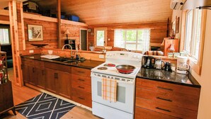 A cabin-style kitchen with wooden walls, a stove, and a sink. - Chop Wood, Carry Water - Lake front cottage with a cozy vibe (Sandy Hook)