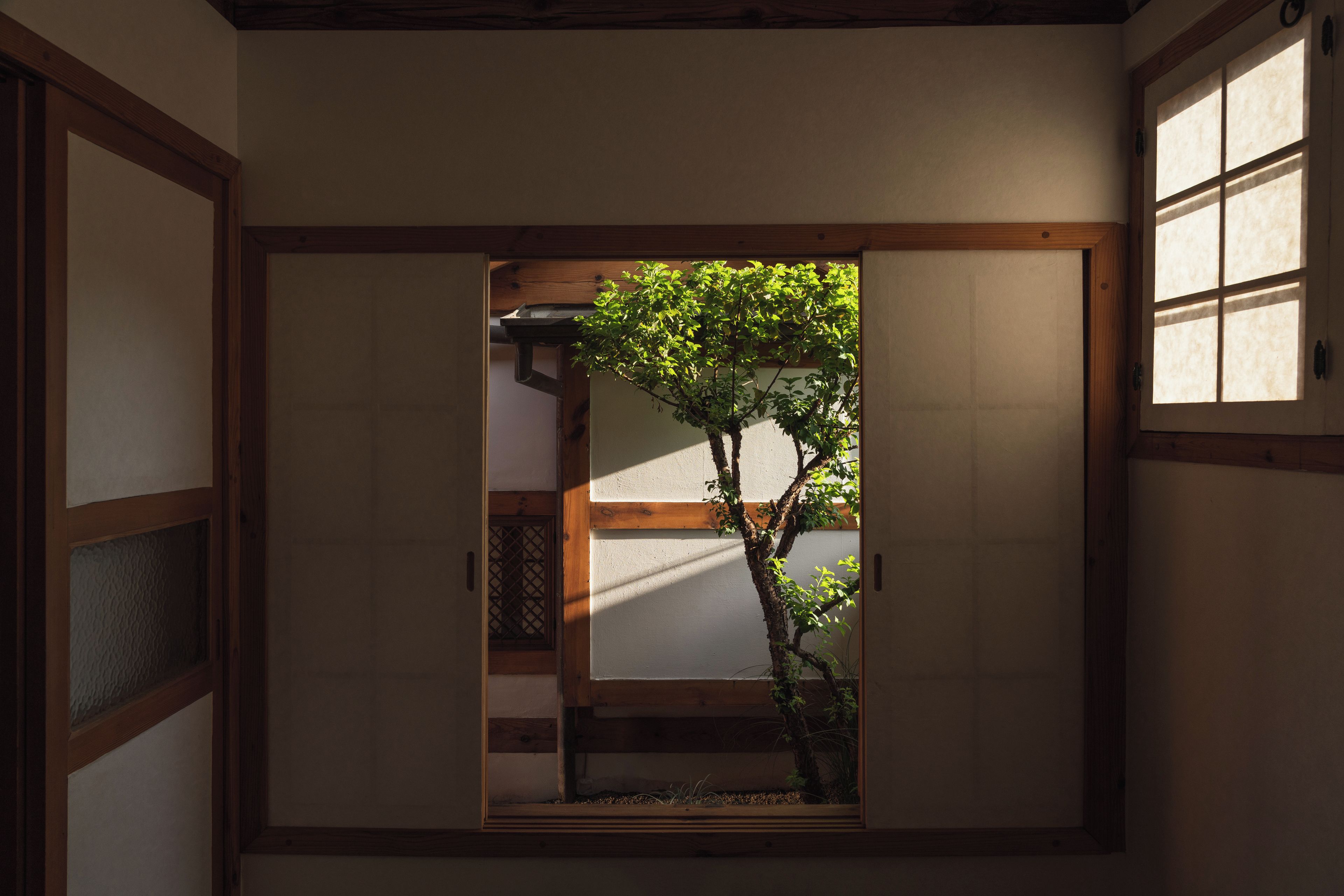 A traditional Japanese room with tatami flooring, a shoji screen door, and a view of a tree outside.